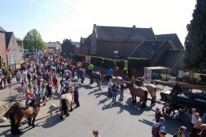voorbereiding paardenparade processie